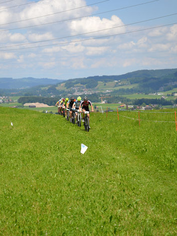 8ba1c1_350522bbb0534592acebd55f36a8fcc0~mv2