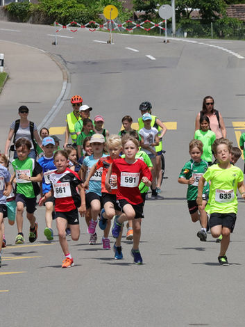 8ba1c1_385ee4e905a045aabb2882ae56dd8ca2~mv2