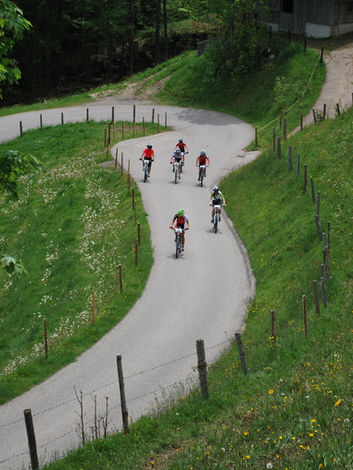 8ba1c1_869dc5f0f1d24d10b30d8259046a8b4e~mv2